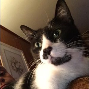 Meet your Posher, Gabriel